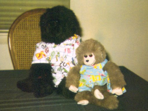 George and Elvis again