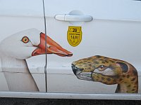 img 05561