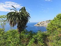 img 06412