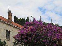 img 06698