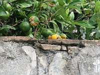 img 06848