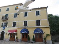 img 07113