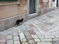 img 07206
