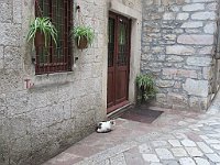 img 07238