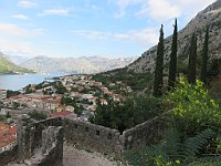 img 07386