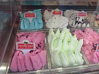 img 07576