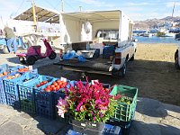 img 08518