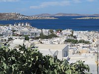 img 08817