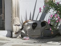 img 08917