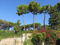 img 09332