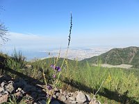 img 09400