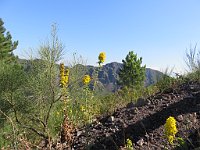 img 09401