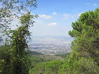 img 09542