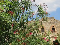 img 09681