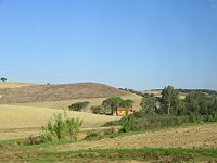 img 10199
