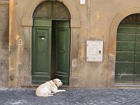 img 10363
