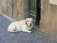 img 10371