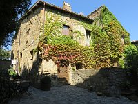 img 10827