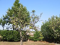 img 10842
