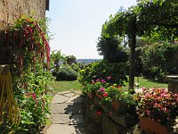 img 10860