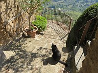 img 10951