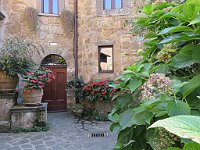 img 10998