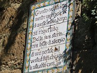 img 11041