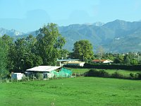 img 11524