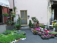 img 11824