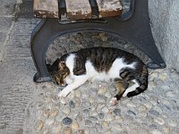img 12664