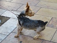 img 13068