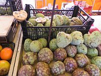 img 13103