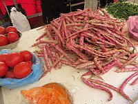 img 13209