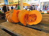 img 13210