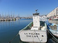 img 13724